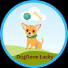 doggonelucky